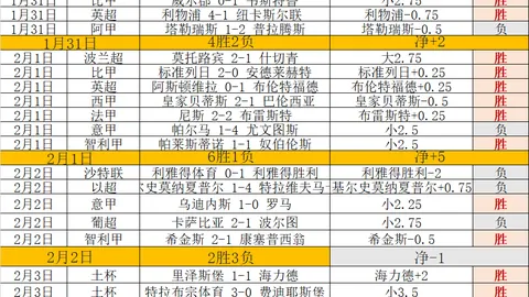 2020-2021赛季德甲第18轮赛事亮点汇总