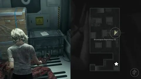 小兹维列夫阿卡普尔科站爆冷出局，ATP赛事意外告终