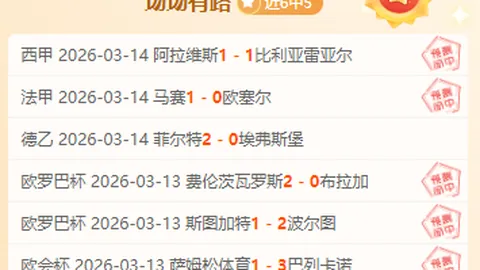 解放者杯期号专家推荐：11胜8实力分析，谁主沉浮